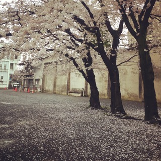 ファイル 2017-04-09 2 40 09.jpeg
